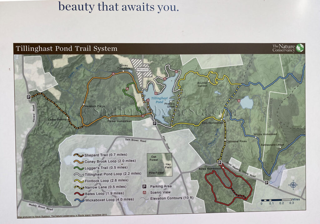 Tillinghast Pond Trail Map