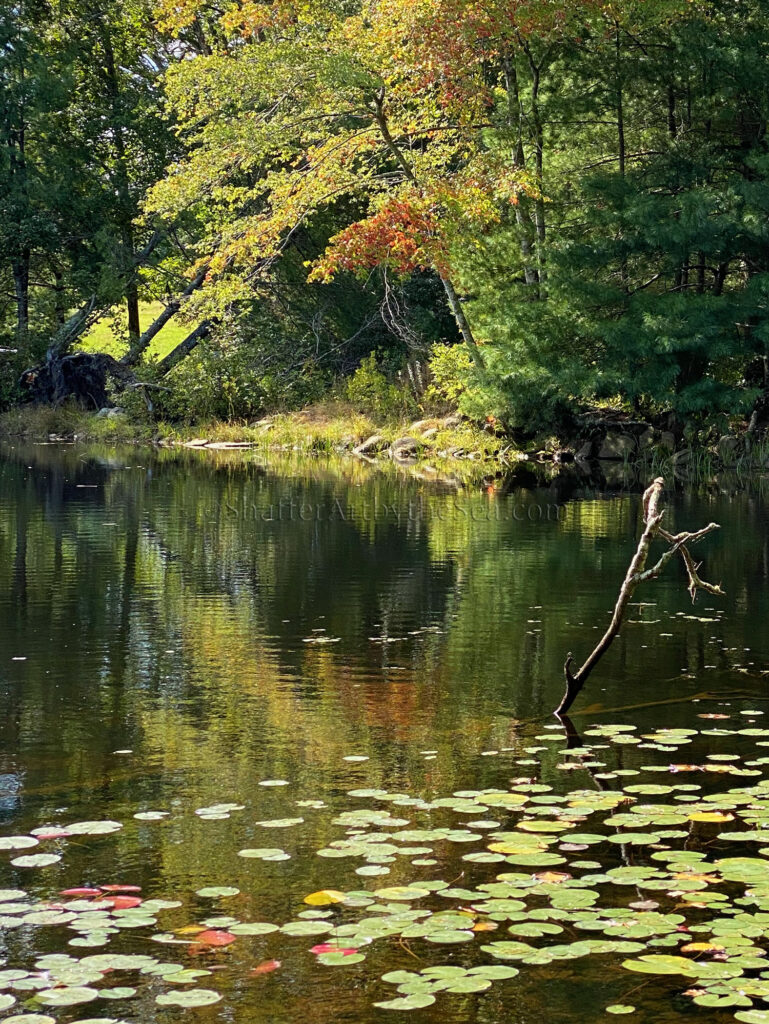 Fall reflections in Tillinghast Pond