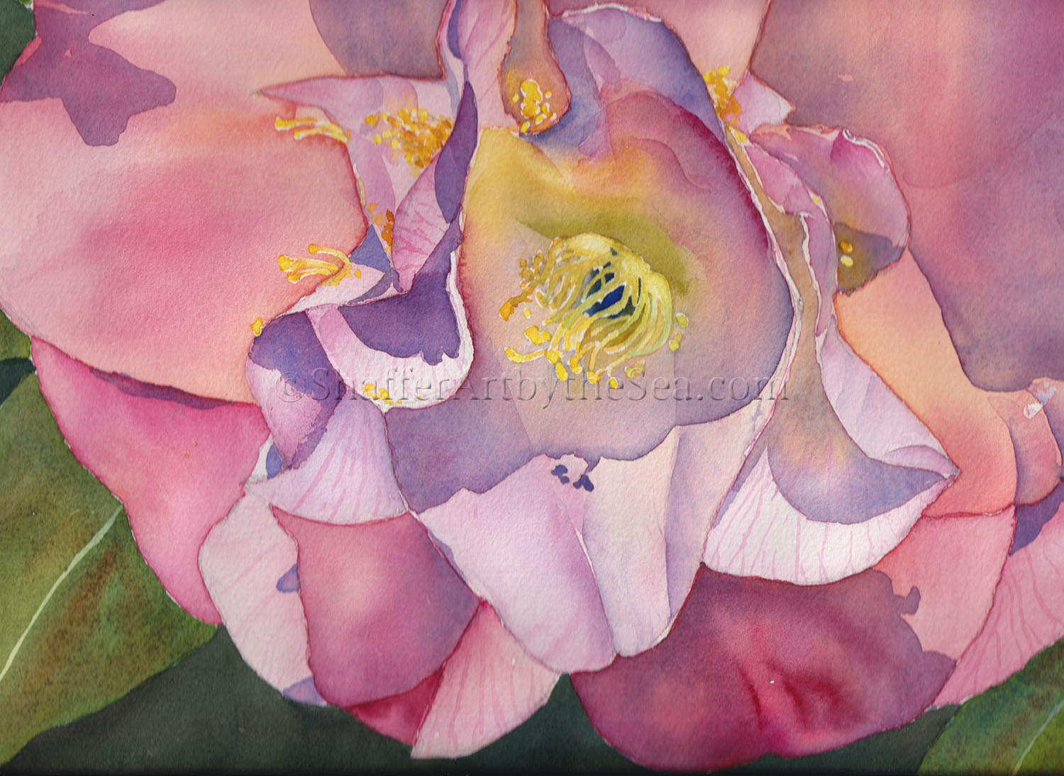 Camellia Student Watercolor Set