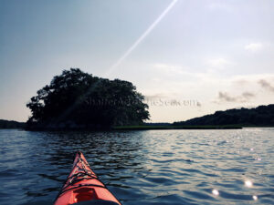 Kayaking Narrow River