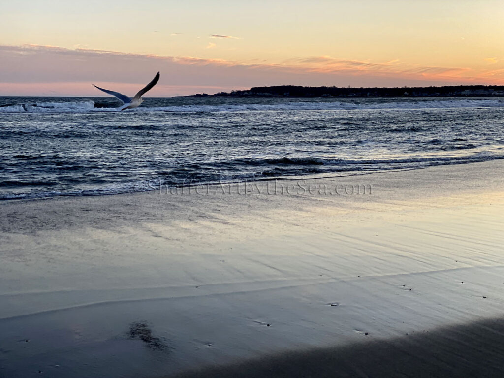 Narragansett Beach Sunset