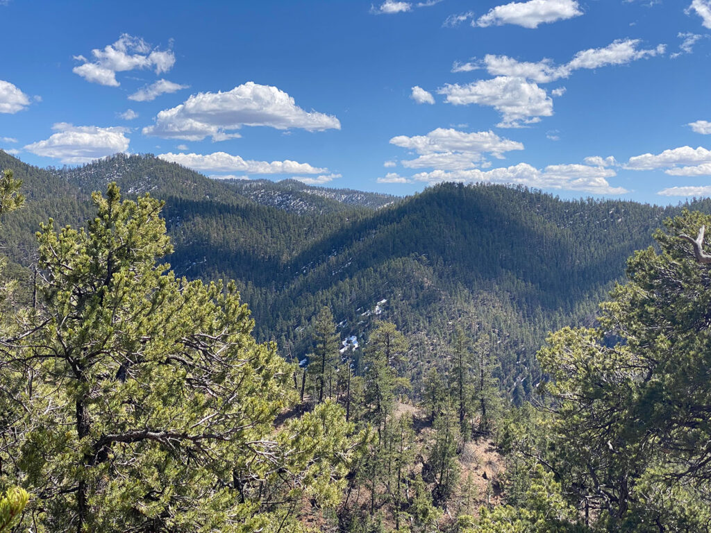 Ridge crest on Tesuque Creek Trail, Santa Fe National Forest